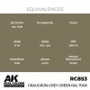 AK Interactive RC853 Graugrün-Grey Green RAL 7008 17 ml